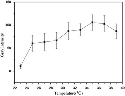 Preparation and Ultrasonic Imaging Investigation of Perfluoropentane-Filled Polylactic Acid Nanobubbles As a Novel Targeted Ultrasound Contrast Agent